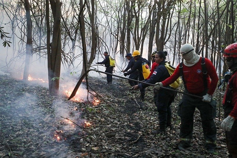 Amazonas avança no combate às queimadas e ao desmatamento