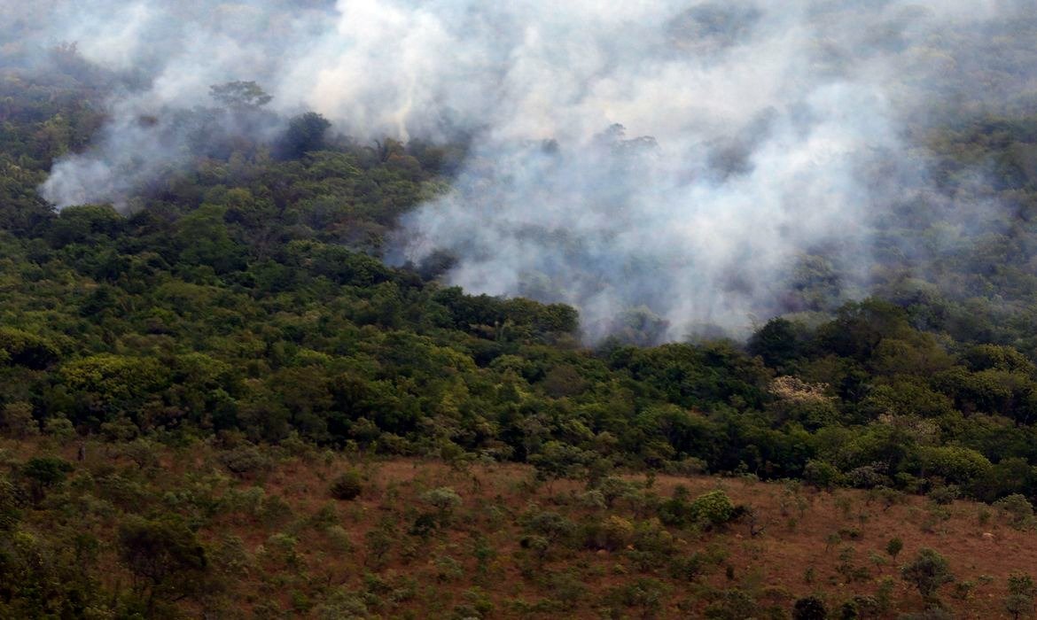 África e Ásia impulsionam queda das emissões