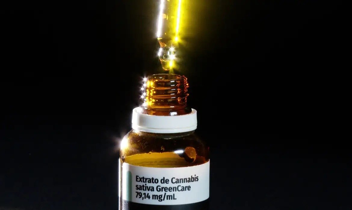 LAI mostra crescimento da cannabis medicinal