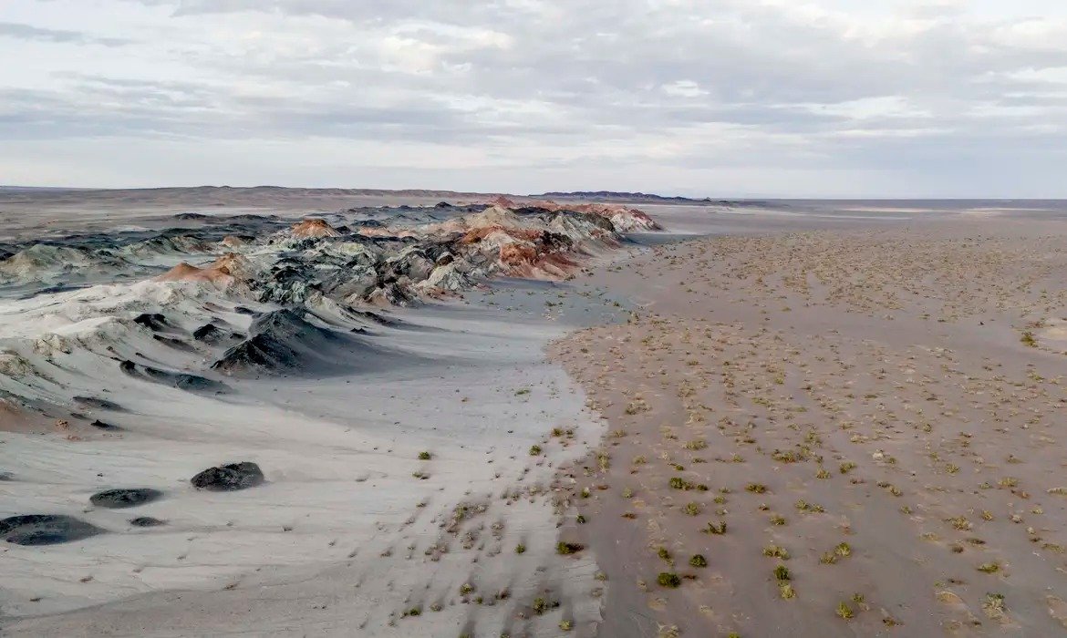 Fungos e restauração ecológica contra a crise climática