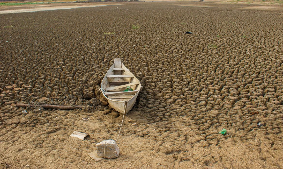 Desertificação afeta Nordeste e outras regiões do Brasil