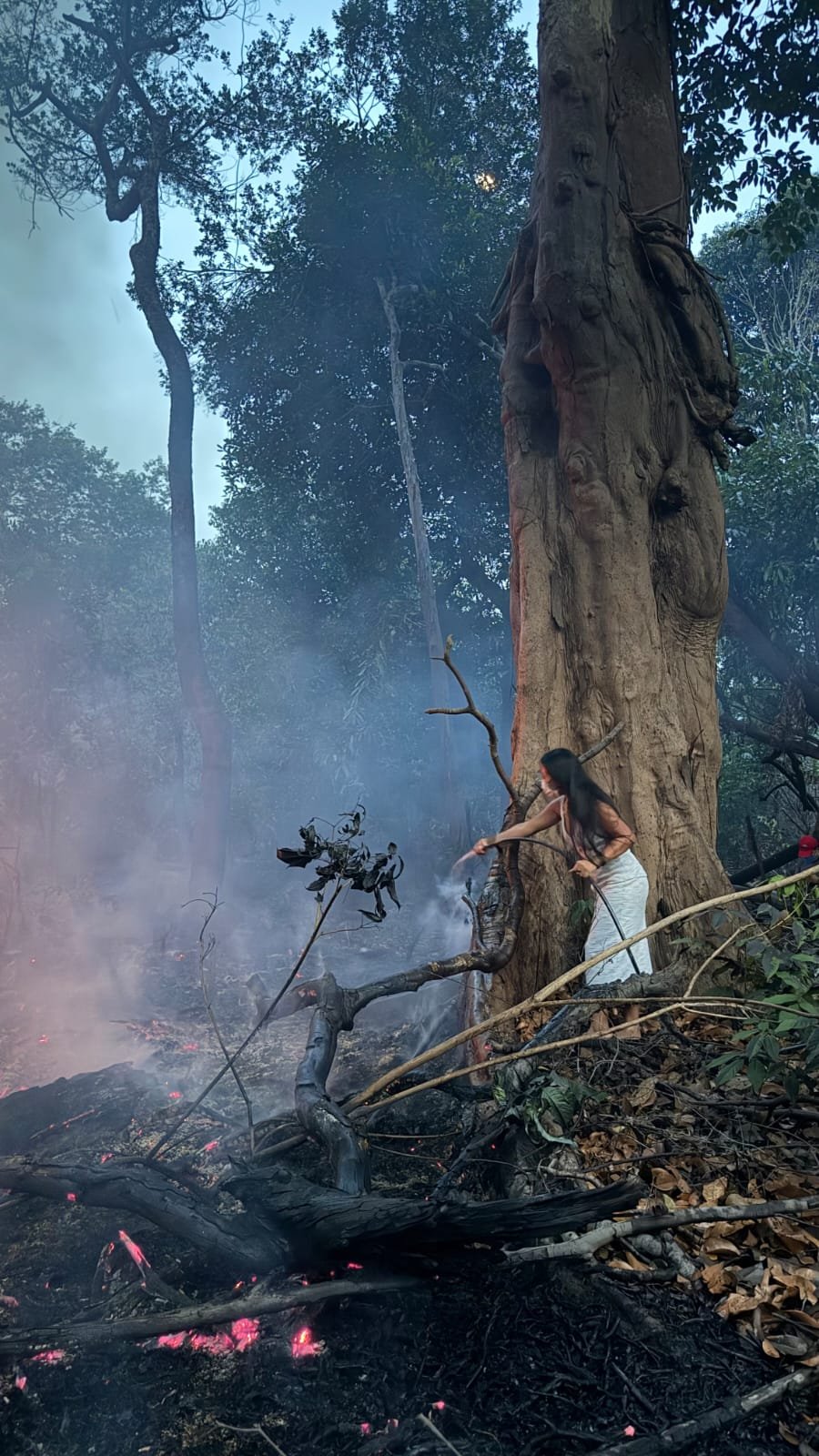 Parque das Tribos cobra prevenção contra novos incêndios