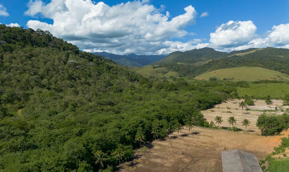Mata Atlântica concentra 25% da soja produzida em áreas mapeadas